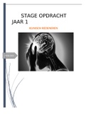 Essay Klinisch Redeneren Stage Opdracht Jaar 1 