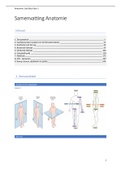 Samenvatting Anatomie Ba1 (volledig)