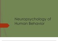 Neuropsychology Of Human Behaviour