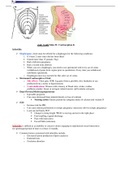 Exam (elaborations) NURS 320 ATI Proctored OB Maternal Newborn Study Guide
