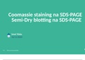 Coomassie staining na SDS-PAGE   Semi-Dry blotting na SDS-PAGE 
