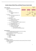 Cardiac Output, Blood Flow, and Blood Pressure Study Guide.