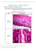 Histology of the Digestive System/Digestive System – Lab Report Assistant