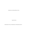 NURS FPX4010 Collaboration and Leadership Reflection Video Capella University Leading People&comma; Processes&comma; and Organizations in Interprofessional Practice ASSESMENT 1