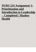 NURS 224 Assignment 1: Prioritization and Introduction to Leadership - Completed | Shadow Health