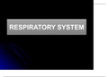 RESPIRATORY SYSTEMS CLASS NOTES