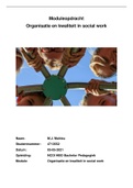 Organisatie en kwaliteit in social work moduleopdracht&comma; eindcijfer 10