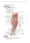 Detailed summary of the muscles, blood supply & nerves of the forearm 