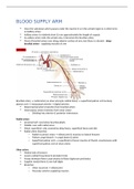 Detailed description and illustration of blood supply and nerve innervation of forearm