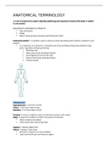 Anatomical terminology