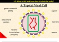 How does HIV infect the body?