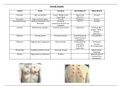 Physical therapy cardiopulmonary examination for the clinic