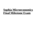 ECS4862 - Advanced Microeconomics_Final_Milestone.