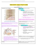 NURSING 306 &sol; N306 Exam 1 Final Study Guide&comma; Complete solution Guide&lpar;2019&sol;2020&rpar;&comma; West Coast University&period;