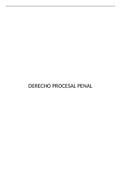 Resumen manual derecho procesal penal