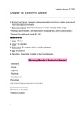 Endocrine System(BIOL 2401/2402)
