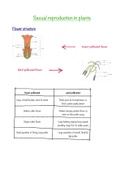 Sexual reproduction in plants full notes