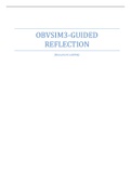 OBVsim3-Guided Reflection 
