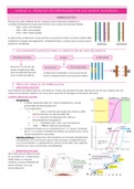 Técnicas de Hibridación de Ácidos Nucleicos.