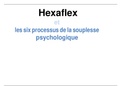 Hexaflex et les six processus de la souplesse psychologique
