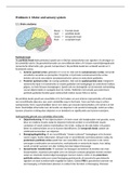 Probleem 1 Motor and sensory system - 3.6C Neuropsychologie