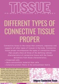 Different types of tissue