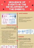 sequence of events in the development of the embryo