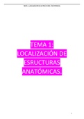 Tema 1: Localización de estructuras Anatómicas