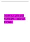 Tema 4.2: Medula Espinal