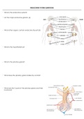 ENDOCRINE SYSTEM QUESTIONS 