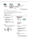 Zusammenfassung Bio Neurobiologie 12