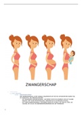 De zwangerschap - 1VV - Karel de Grote-Hogeschool.
