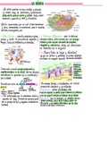"La Célula" - Resumen Completo y Apuntes Biología Celular 