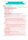 Final Exam Study Guide NUR 2790&colon; Professional Nursing III&lpar; Complete Solution Rated A&rcub;100&percnt;