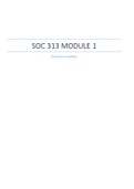 SOC 313 MODULE 1
