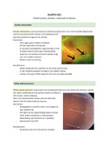 Samenvatting Optometrie KLOPTO Jaar 2 Blok C - HC3 Perifere fundus, klachten onderzoek & uitkomst