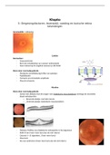Klopto 5: Omgevingsfactoren, levensstijl, voeding en toxische retina bevindingen van Arjan de Graaf