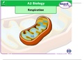 Describe repiration ans its biochemical process