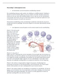 anatomie en fysiologie leerjaar 1 optometrie/orthoptie uitgewerkt.