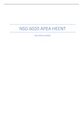 NSG 6020 APEA HEENT