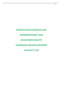 ORGANISATIONALLEADERSHIP AND INTERPROFESSIONAL TEAM DEVELOPMENT BRIGETTE UNDERWOOD WESTERN GERVERNER UNIVERSITY C158