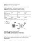 IB Chemistry HL - Topic 2 notes: ATOMIC STRUCTURE