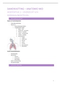 Samenvatting Anatomie NKO