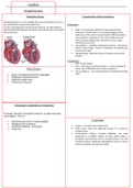 Clinical Summary on Tricuspid Stenosis 