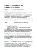 Samenvatting Conjunctuur & Economisch Beleid Praktische Economie VWO