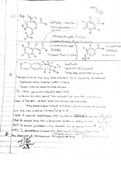 Organic Chemistry Day 2 Notes 