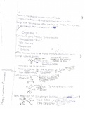 Organic Chemistry Day 5 Class Notes 