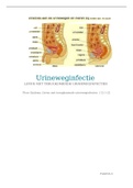 verslag urinewegstelsel (urineweginfectie + niersteen koppeling)
