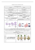 Notes and summary on Reproduction in Flowering Plants - IEB Matric bio/life Science 