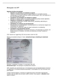 AFP kennislijn OP3 